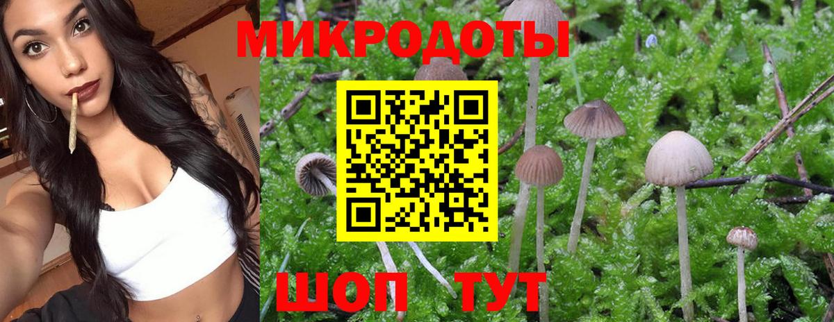 Скопин  Галлюциногенные грибы GOLDEN TEACHER  Вход с VPN 